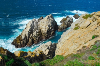 #0331 Point Lobos, CA