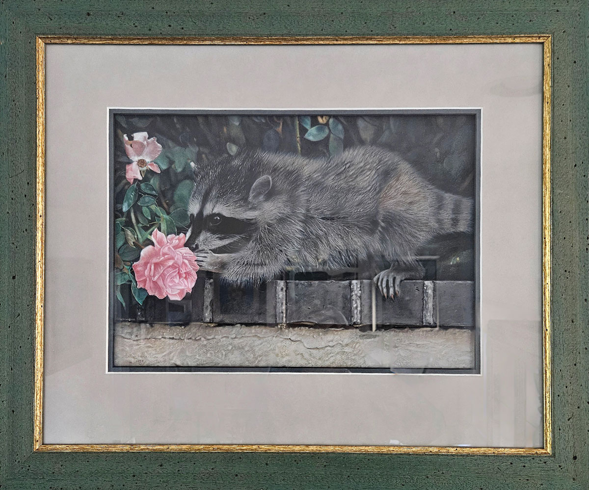 never promised you a rose garden framed